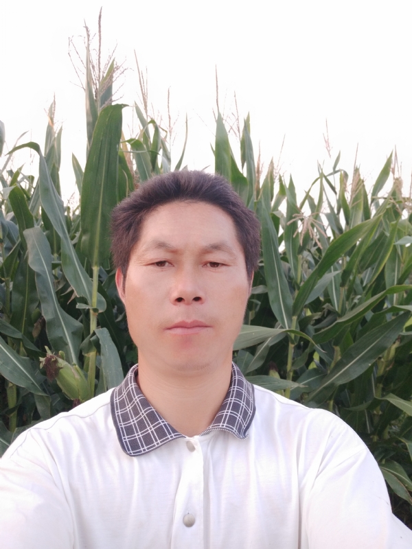 四海游龙的第一张照片--清流交友网