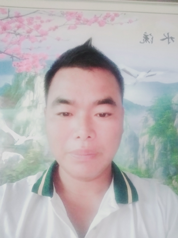 阳光男孩的第二张照片--清流交友网